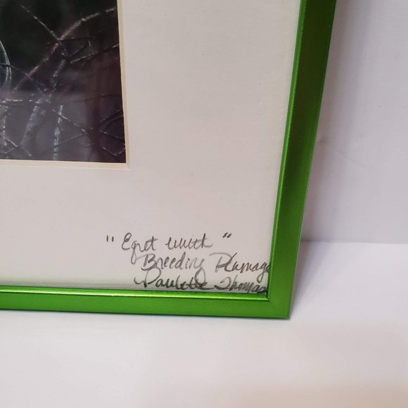 Framed Egret Photograph Print, signed Paulette Thomas, Matted, Bird Art - Picture 3 of 7